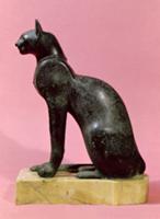 Blackjack dog price in egypt gambling legislation france